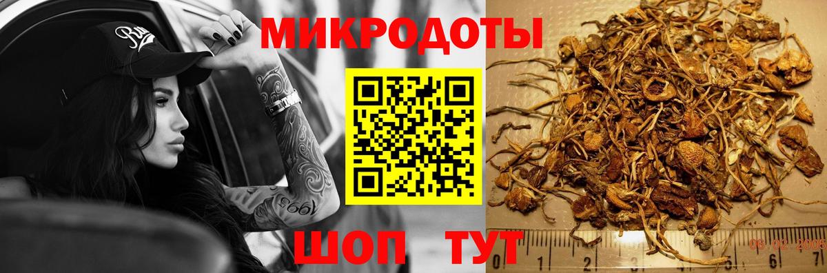 Псилоцибиновые грибы GOLDEN TEACHER Донецк